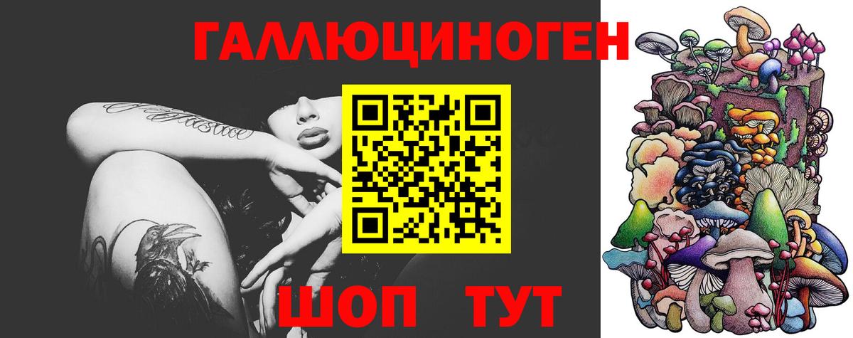Галлюциногенные грибы Psilocybe Новокуйбышевск